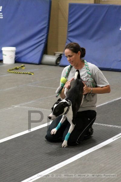 IMG_1847.jpg