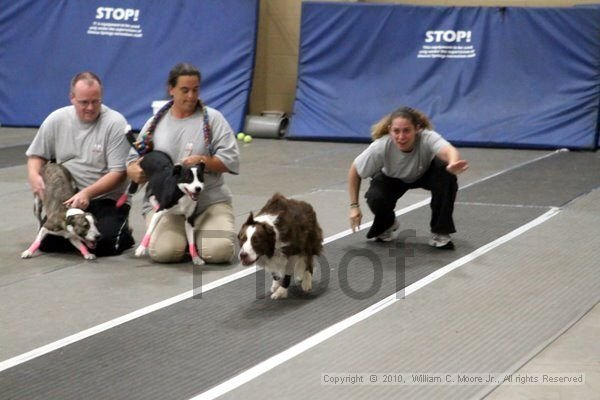 IMG_1869.jpg