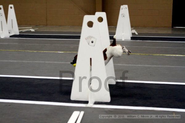 IMG_1925.jpg