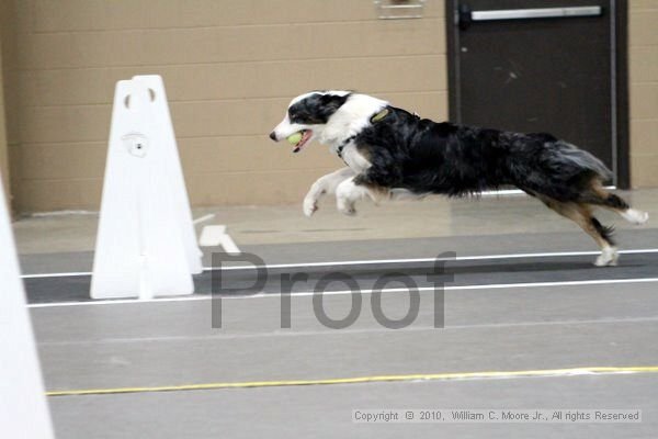 IMG_1933.jpg