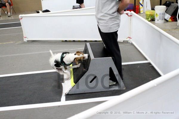 IMG_1964.jpg