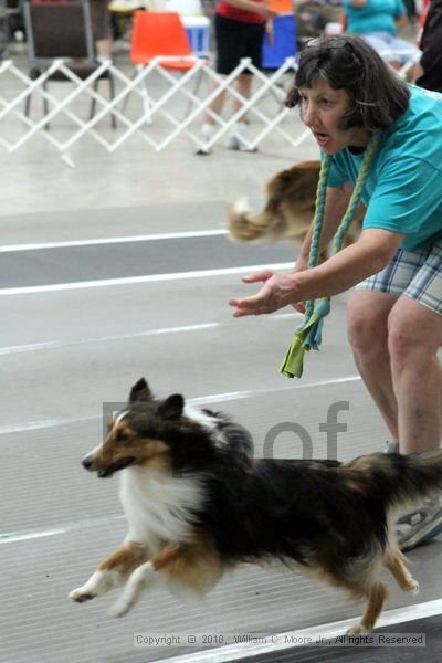 IMG_2054.jpg