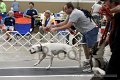 IMG_2100