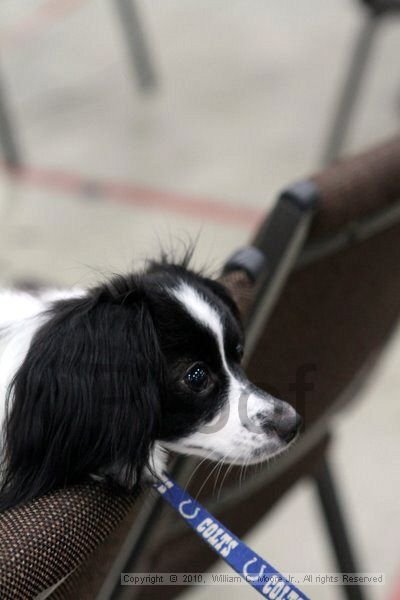 IMG_0659.jpg