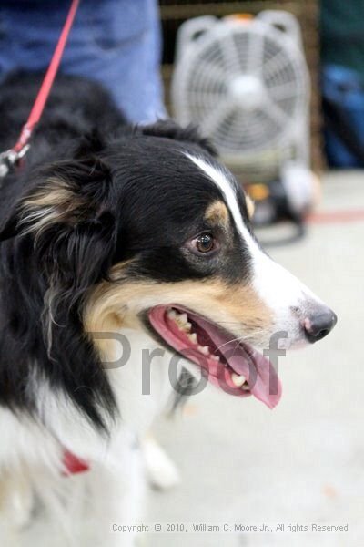 IMG_9843.jpg