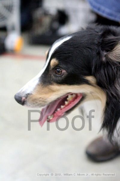 IMG_9844.jpg