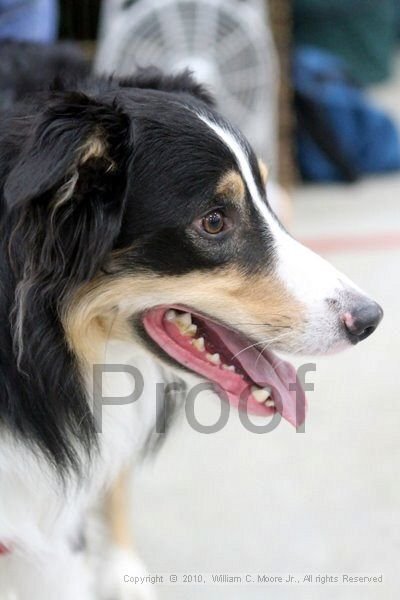 IMG_9845.jpg