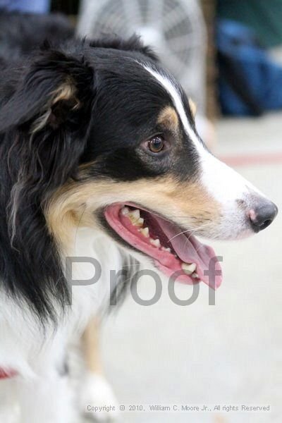 IMG_9846.jpg