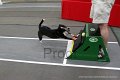 IMG_3278