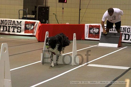 Birmingham Bandits Summer Shootout<br />June 26, 2010<br />Bessemer Civic Center<br />Bessemer Al