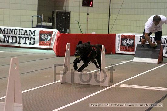 Birmingham Bandits Summer Shootout<br />June 26, 2010<br />Bessemer Civic Center<br />Bessemer Al