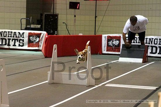 Birmingham Bandits Summer Shootout<br />June 26, 2010<br />Bessemer Civic Center<br />Bessemer Al