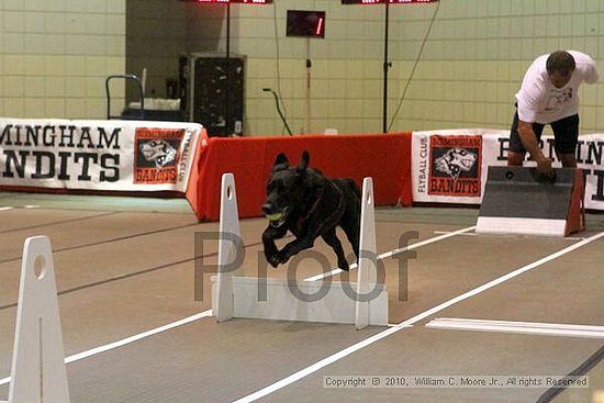 Birmingham Bandits Summer Shootout<br />June 26, 2010<br />Bessemer Civic Center<br />Bessemer Al