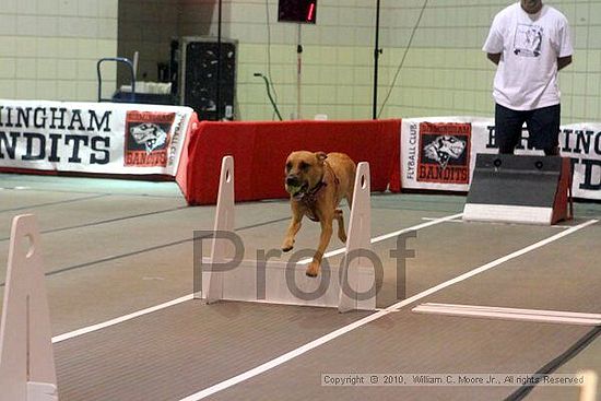 Birmingham Bandits Summer Shootout<br />June 26, 2010<br />Bessemer Civic Center<br />Bessemer Al