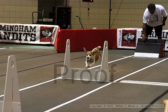 Birmingham Bandits Summer Shootout<br />June 26, 2010<br />Bessemer Civic Center<br />Bessemer Al