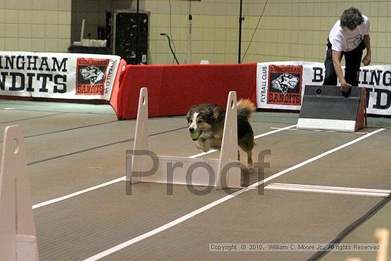 Birmingham Bandits Summer Shootout<br />June 26, 2010<br />Bessemer Civic Center<br />Bessemer Al