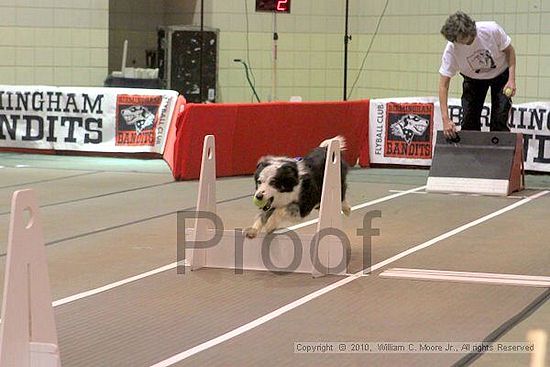 Birmingham Bandits Summer Shootout<br />June 26, 2010<br />Bessemer Civic Center<br />Bessemer Al