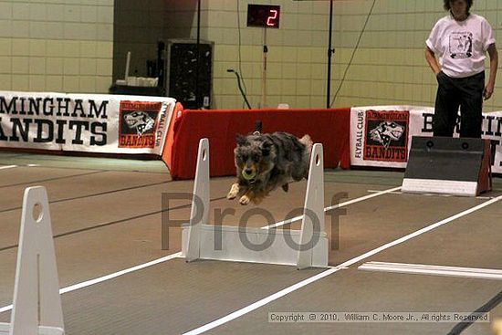 Birmingham Bandits Summer Shootout<br />June 26, 2010<br />Bessemer Civic Center<br />Bessemer Al