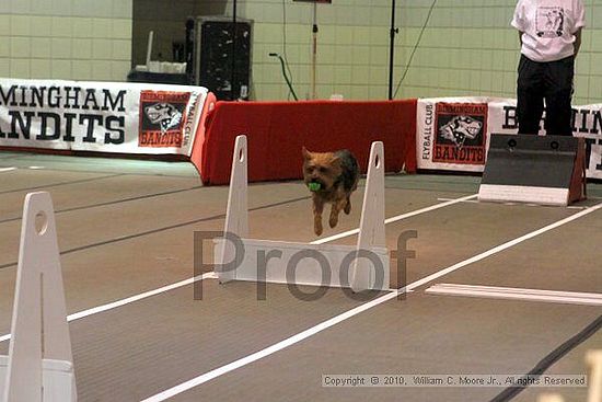 Birmingham Bandits Summer Shootout<br />June 26, 2010<br />Bessemer Civic Center<br />Bessemer Al