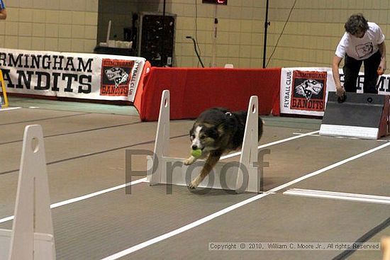 Birmingham Bandits Summer Shootout<br />June 26, 2010<br />Bessemer Civic Center<br />Bessemer Al