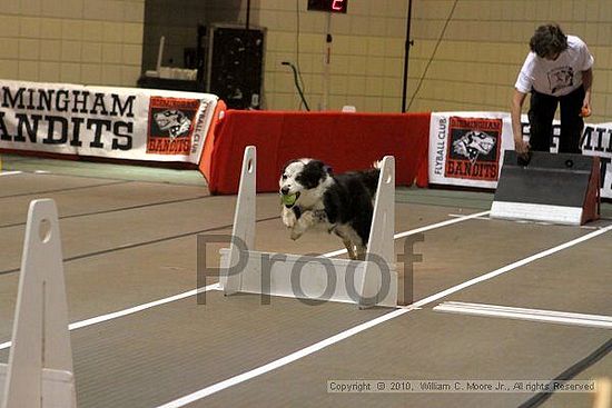 Birmingham Bandits Summer Shootout<br />June 26, 2010<br />Bessemer Civic Center<br />Bessemer Al