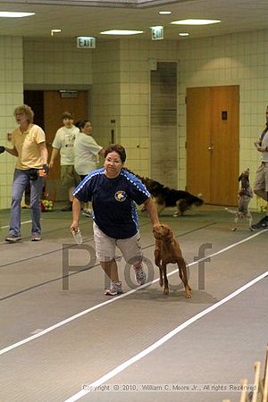 Birmingham Bandits Summer Shootout<br />June 26, 2010<br />Bessemer Civic Center<br />Bessemer Al