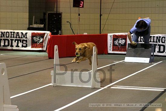 Birmingham Bandits Summer Shootout<br />June 26, 2010<br />Bessemer Civic Center<br />Bessemer Al