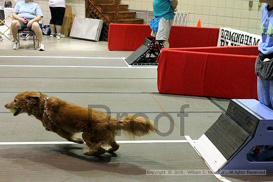 Birmingham Bandits Summer Shootout<br />June 26, 2010<br />Bessemer Civic Center<br />Bessemer Al