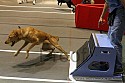 img_4710_thm.jpg