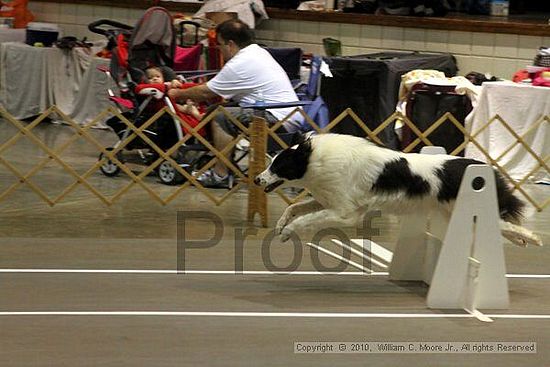 Birmingham Bandits Summer Shootout<br />June 26, 2010<br />Bessemer Civic Center<br />Bessemer Al