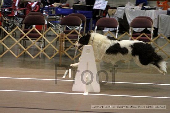 Birmingham Bandits Summer Shootout<br />June 26, 2010<br />Bessemer Civic Center<br />Bessemer Al