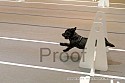 img_4742_thm.jpg