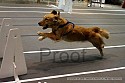 img_4754_thm.jpg