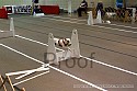 img_4777_thm.jpg
