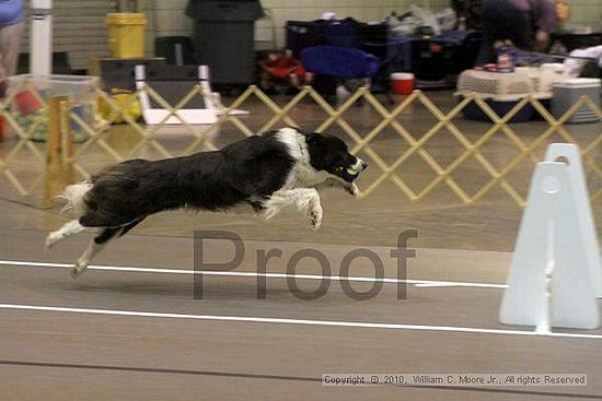 Birmingham Bandits Summer Shootout<br />June 26, 2010<br />Bessemer Civic Center<br />Bessemer Al