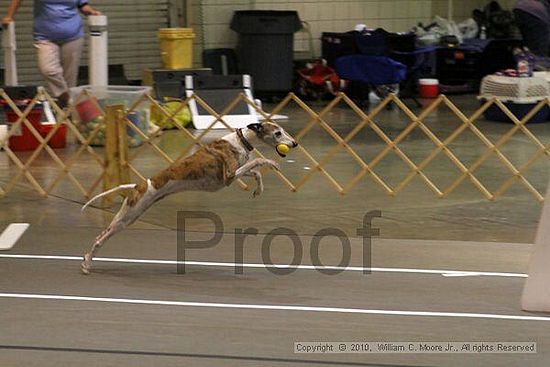 Birmingham Bandits Summer Shootout<br />June 26, 2010<br />Bessemer Civic Center<br />Bessemer Al