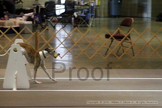 Birmingham Bandits Summer Shootout<br />June 26, 2010<br />Bessemer Civic Center<br />Bessemer Al