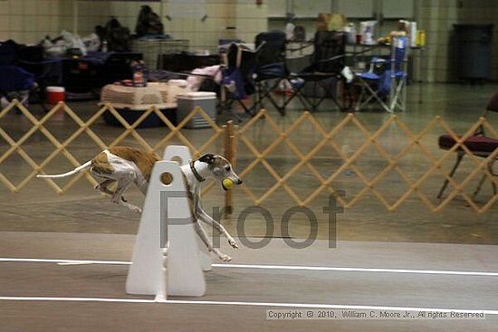 Birmingham Bandits Summer Shootout<br />June 26, 2010<br />Bessemer Civic Center<br />Bessemer Al