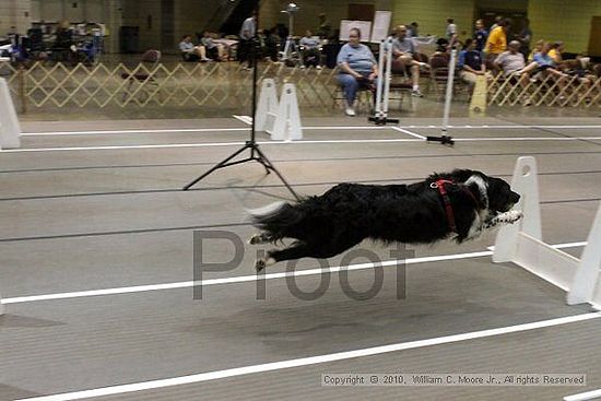 Birmingham Bandits Summer Shootout<br />June 26, 2010<br />Bessemer Civic Center<br />Bessemer Al