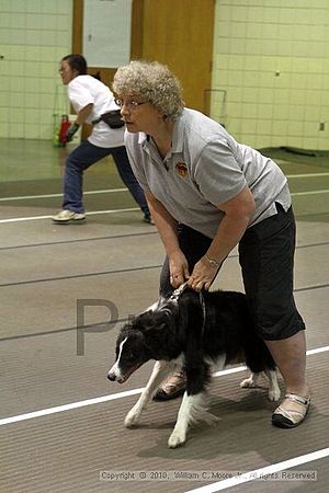 Birmingham Bandits Summer Shootout<br />June 26, 2010<br />Bessemer Civic Center<br />Bessemer Al