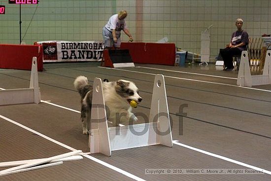 Birmingham Bandits Summer Shootout<br />June 26, 2010<br />Bessemer Civic Center<br />Bessemer Al