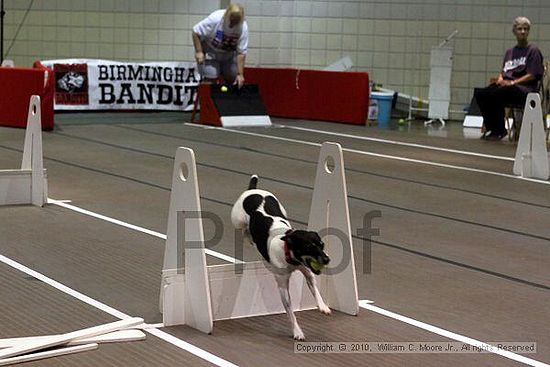 Birmingham Bandits Summer Shootout<br />June 26, 2010<br />Bessemer Civic Center<br />Bessemer Al