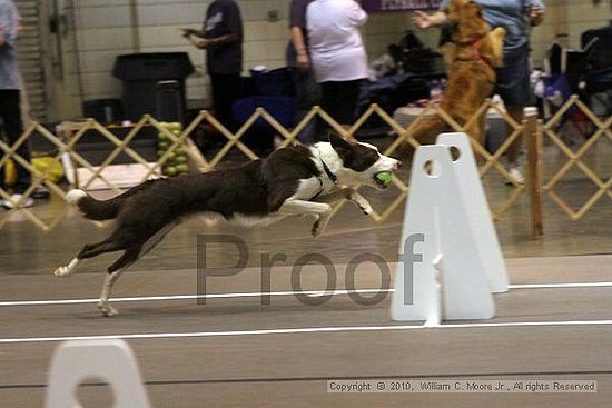 Birmingham Bandits Summer Shootout<br />June 26, 2010<br />Bessemer Civic Center<br />Bessemer Al