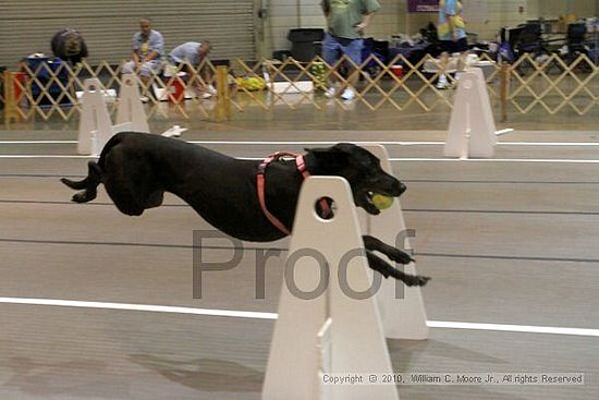 Birmingham Bandits Summer Shootout<br />June 26, 2010<br />Bessemer Civic Center<br />Bessemer Al