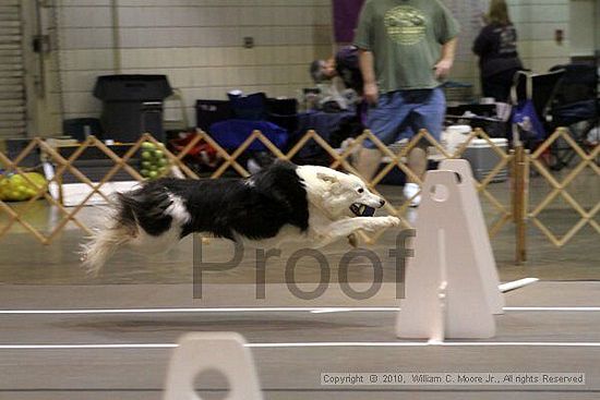 Birmingham Bandits Summer Shootout<br />June 26, 2010<br />Bessemer Civic Center<br />Bessemer Al