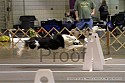 img_4931_thm.jpg