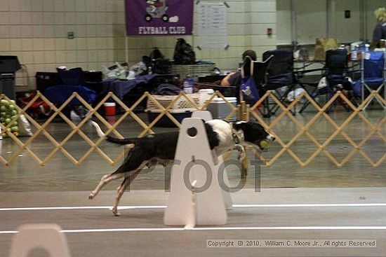 Birmingham Bandits Summer Shootout<br />June 26, 2010<br />Bessemer Civic Center<br />Bessemer Al