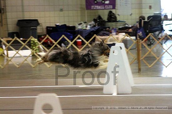 Birmingham Bandits Summer Shootout<br />June 26, 2010<br />Bessemer Civic Center<br />Bessemer Al