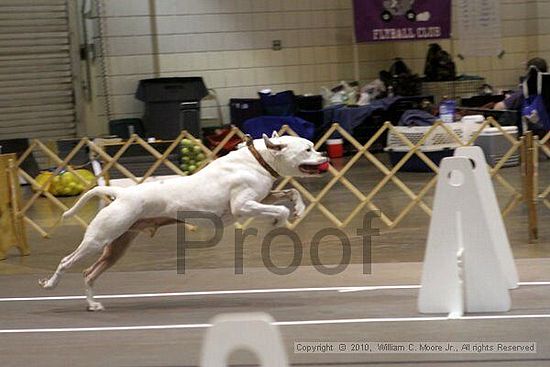 Birmingham Bandits Summer Shootout<br />June 26, 2010<br />Bessemer Civic Center<br />Bessemer Al