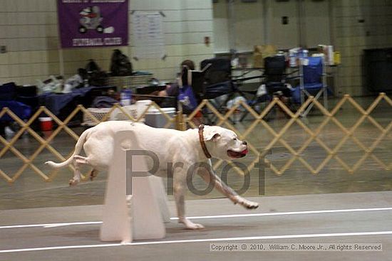 Birmingham Bandits Summer Shootout<br />June 26, 2010<br />Bessemer Civic Center<br />Bessemer Al